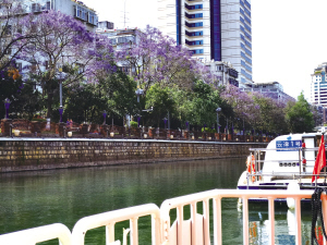 3881650906673017 3881650906673017